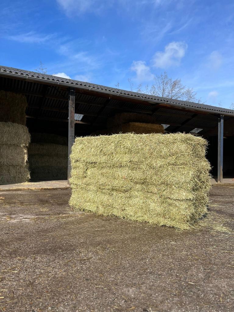 Suikerarm Kruidenhooi Hooi Hooibalen kleine baaltjes, Dieren en Toebehoren, Ophalen, Vee