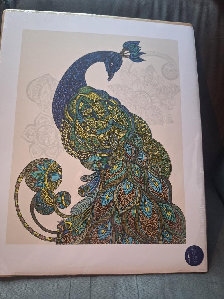 Mooie print van een pauw - 40x50 cm, Minder dan 50 cm, Oorspronkelijke maker, Ophalen of Verzenden, Minder dan 50 cm