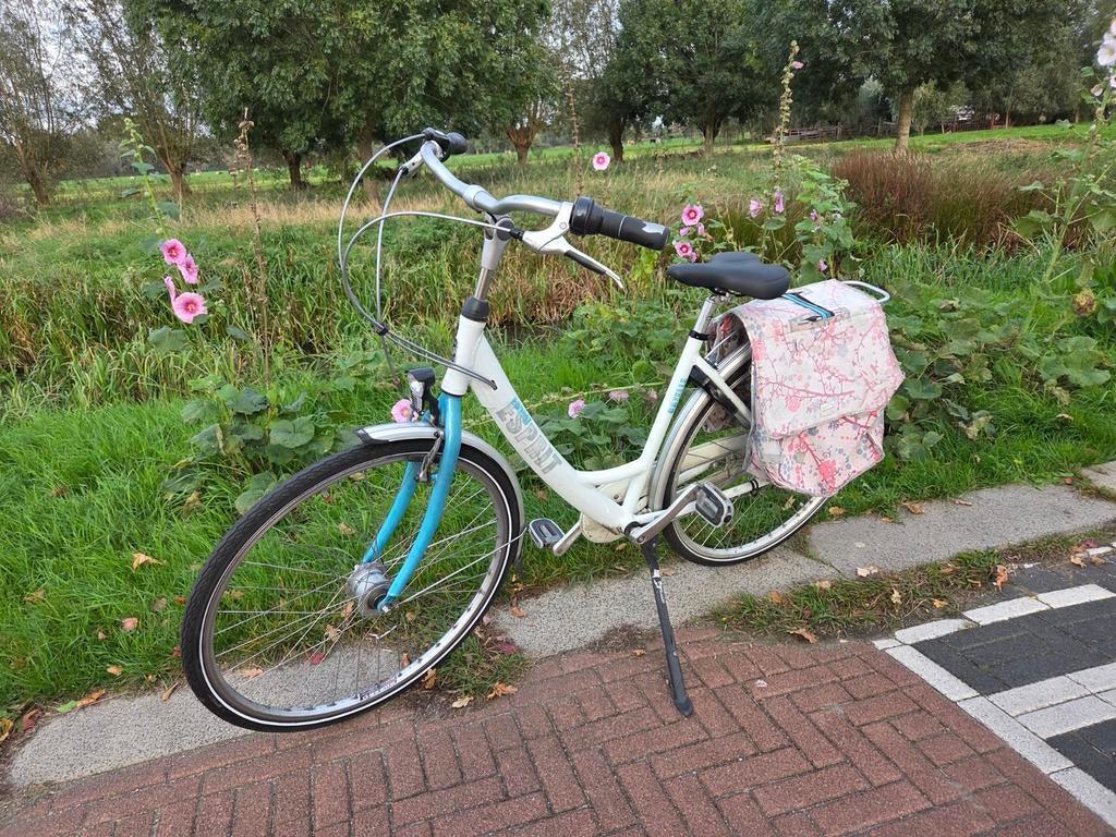 TE KOOP GAZELLE Esprit 53 CM, Versnellingen, Zo goed als nieuw, 50 tot 53 cm, Ophalen