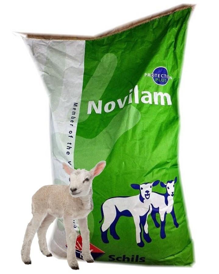 Lammetjes melk kunstmelk Novilam lammeren geiten schapen, Dieren en Toebehoren, Meerdere dieren, Schaap