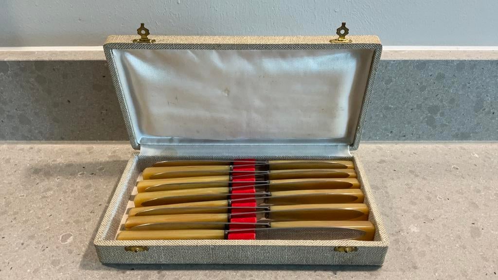 Vintage Franse pradel fils set 12 stuks in cassette dinermes, Antiek en Kunst, Antiek | Bestek, Ophalen of Verzenden