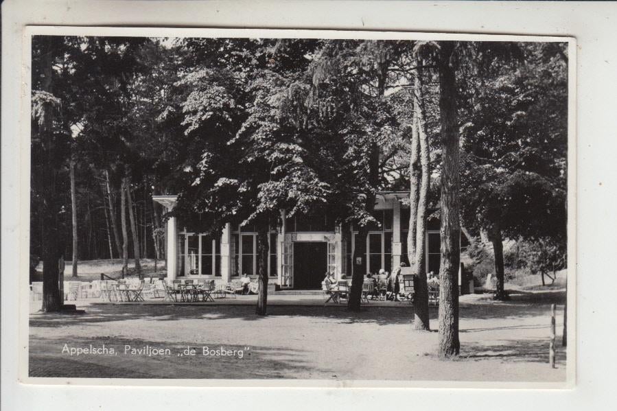 Appelscha, Paviljoen "de Bosberg", Ophalen of Verzenden, 1940 tot 1960, Gelopen, Friesland