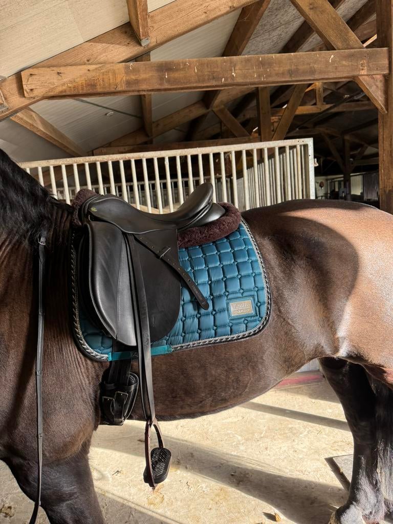 Ideal Grace dressuurzadel 18 inch, Dieren en Toebehoren, Paarden en Pony's | Zadels, Ophalen of Verzenden, Zo goed als nieuw, Dressuur
