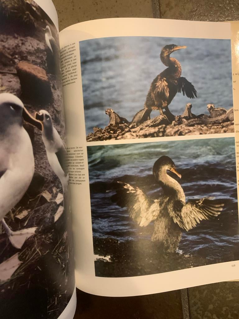 De Wonderlijke Natuur: Tropische Vogels - vogelboek, Ophalen of Verzenden, Gelezen, Vogels