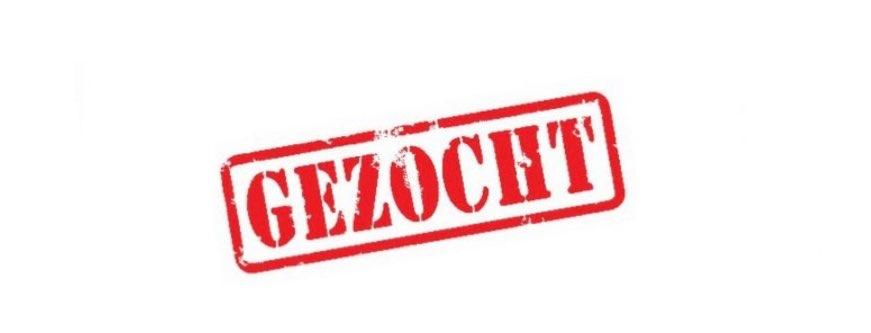SPOED: ZELFSTANDIGE RUITER, Diensten en Vakmensen, Dieren | Paarden | Verzorging, Oppas en Les, Ruiter of Bijrijder