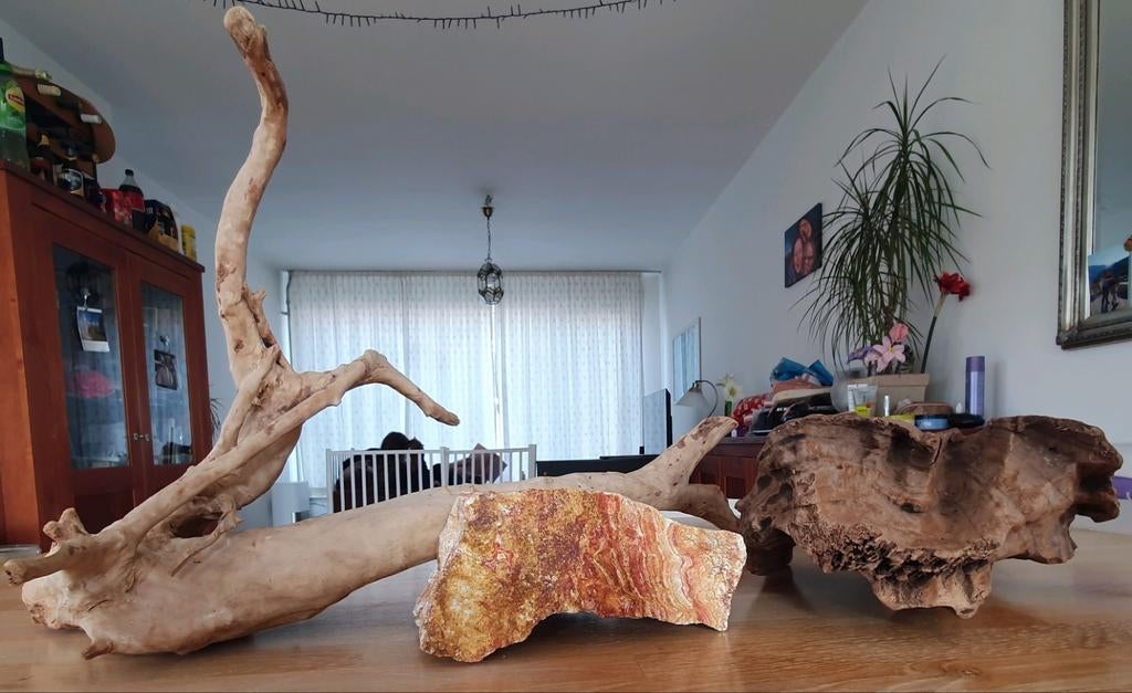 Reptielen schuilplek/steen, lange tak, hout, Ophalen of Verzenden, Zo goed als nieuw, Tak, Plant, Rots of Steen