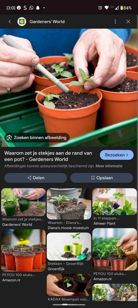 GEZOCHT groente fruit stekjes en bloempotten, Ophalen of Verzenden