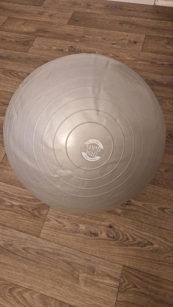 Gymbal 65 cm met pomp, Ophalen of Verzenden