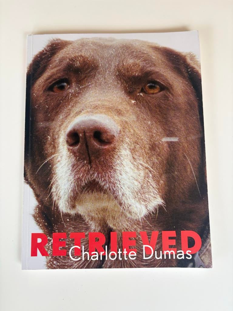 RETRIEVED - Charlotte Dumas (9/11 reddingshonden), Ophalen of Verzenden, Zo goed als nieuw