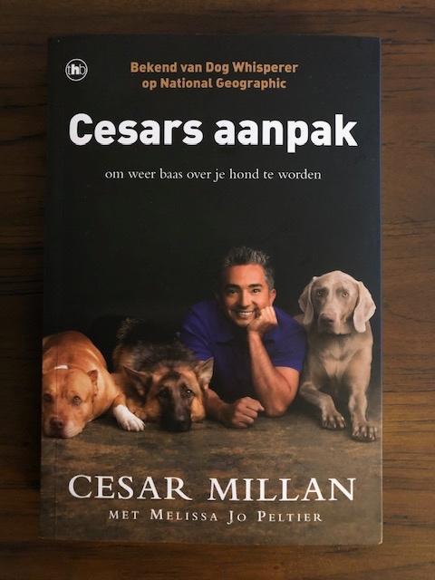 Cesars aanpak  -  Cesar Millan, Ophalen of Verzenden, Zo goed als nieuw, Honden, Cesar Millan