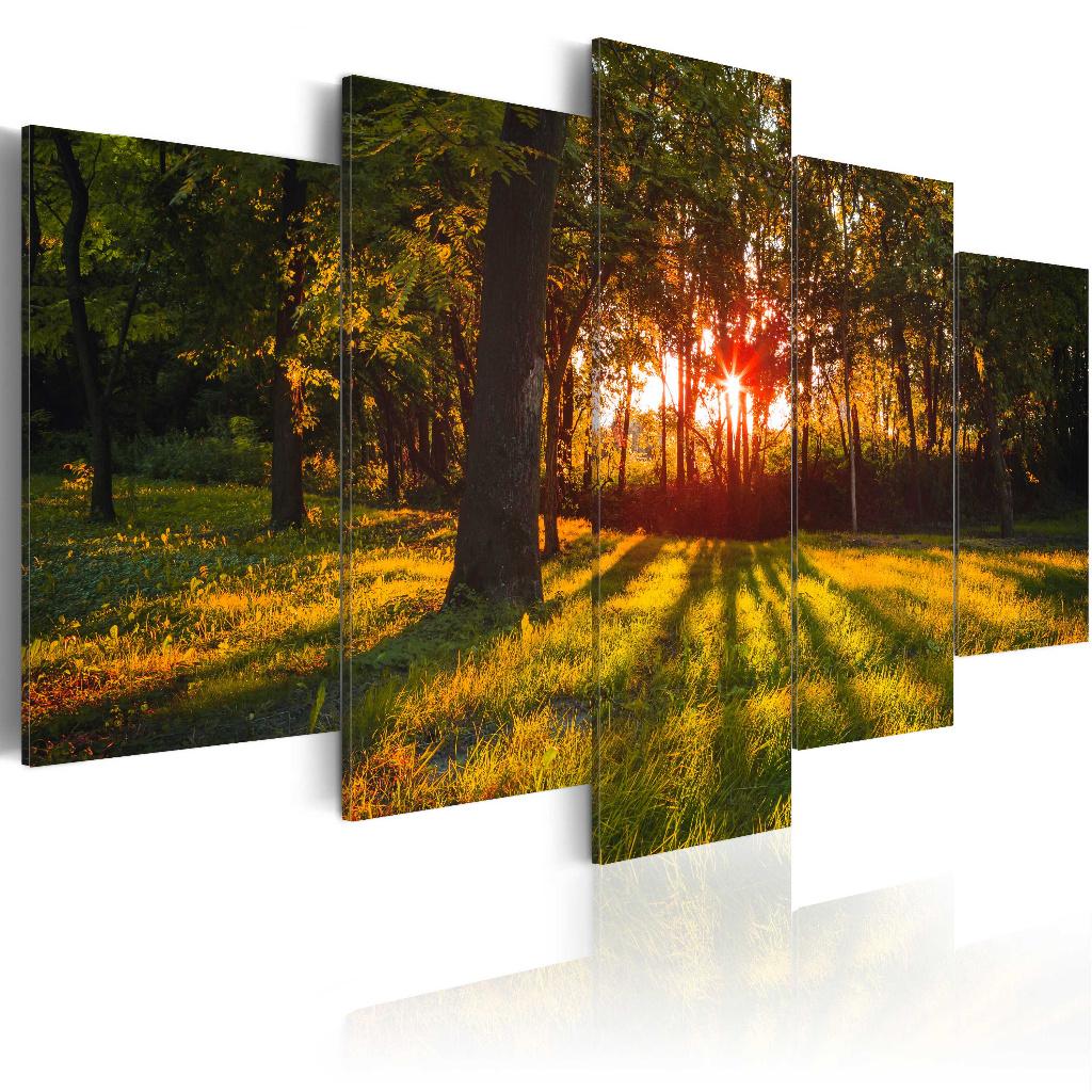 922 Bos Bomen Natuur 5 Luik Canvas Schilderij 200x100cm XXL, Antiek en Kunst, Kunst | Schilderijen | Klassiek, Ophalen of Verzenden