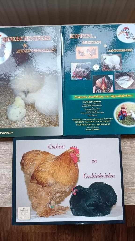 Zijdehoenders, Kippenziekten, Cochins - Hans Ringnalda, Ophalen of Verzenden, Zo goed als nieuw, Honden