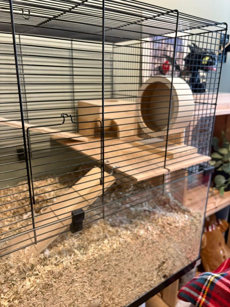 Prachtig nieuw hok voor knaagdieren, Dieren en Toebehoren, Knaagdieren en Konijnen | Hokken en Kooien, 110 cm of meer, Zo goed als nieuw