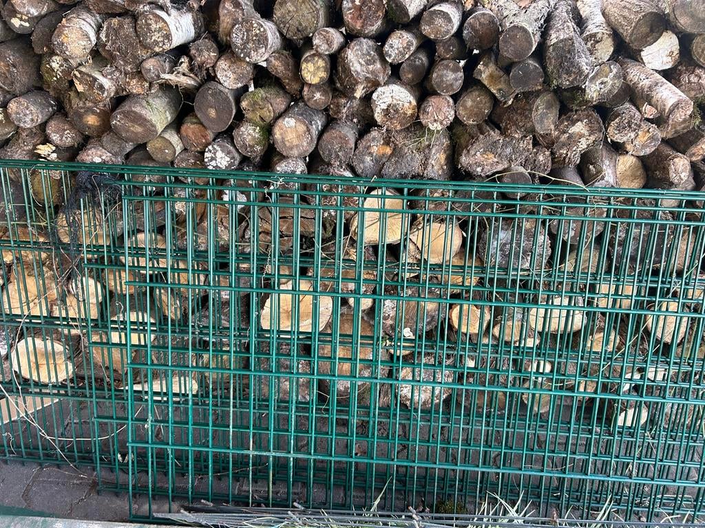 Hekwerk inclusief palen en bevestigingen, Ophalen, Gebruikt, IJzer, Dubbelstaafmat hekwerk