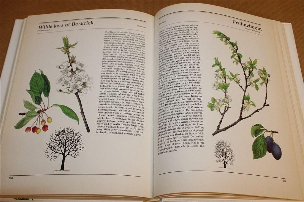 Bomen en Struiken — Europese Soorten in Woord en Beeld, Ophalen of Verzenden, Gelezen, Bloemen, Planten en Bomen