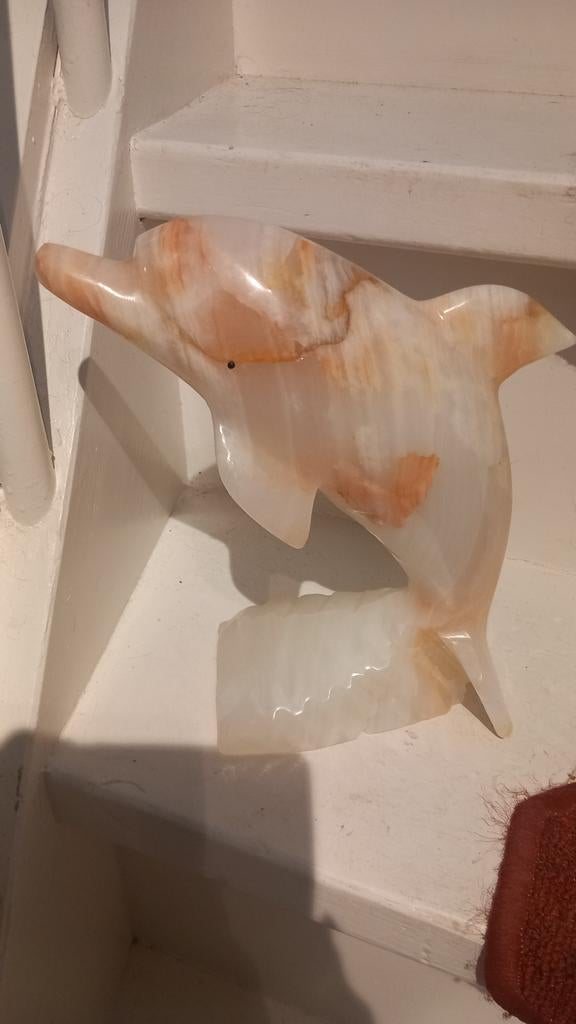 Prachtige marmeren dolfijn  25 cm puntgaaf, Mannelijk, Kleurkanarie