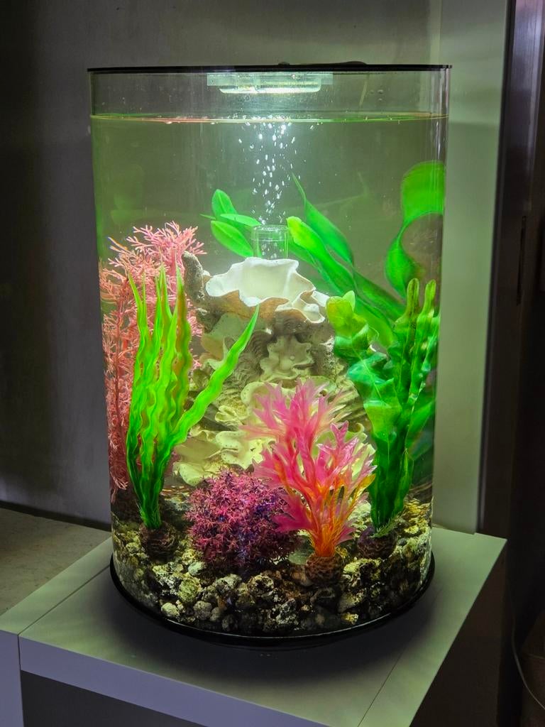 Biorb Tube 30 liter aquarium, Dieren en Toebehoren, Ophalen of Verzenden, Zo goed als nieuw, Leeg aquarium