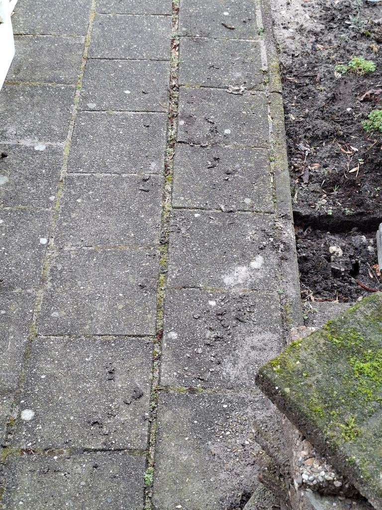 Stoeptegels 30x30 en halve tegels, Tuin en Terras, Ophalen, Gebruikt, Beton, Terrastegels