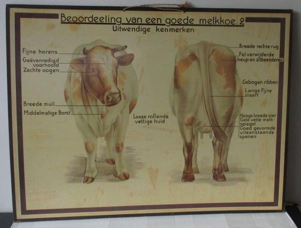 schitterende oude schoolplaten paard koe landbouw, Ophalen, Geschiedenis