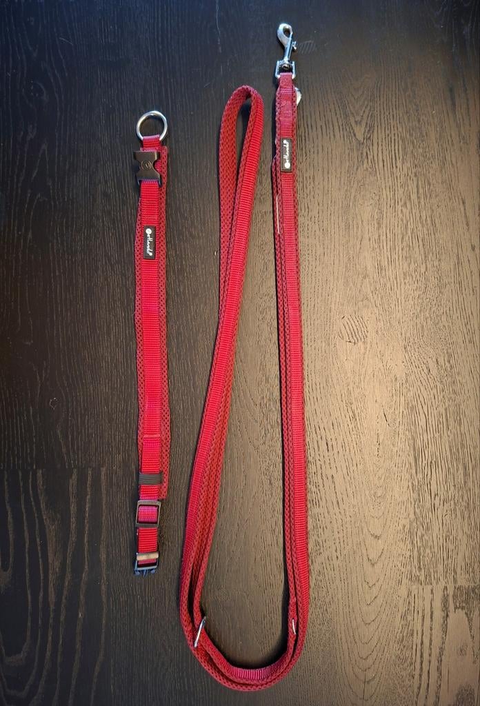 Hondenriem, compleet, 3 lengtes, Bordeaux rood, maat: S, Ophalen, Zo goed als nieuw