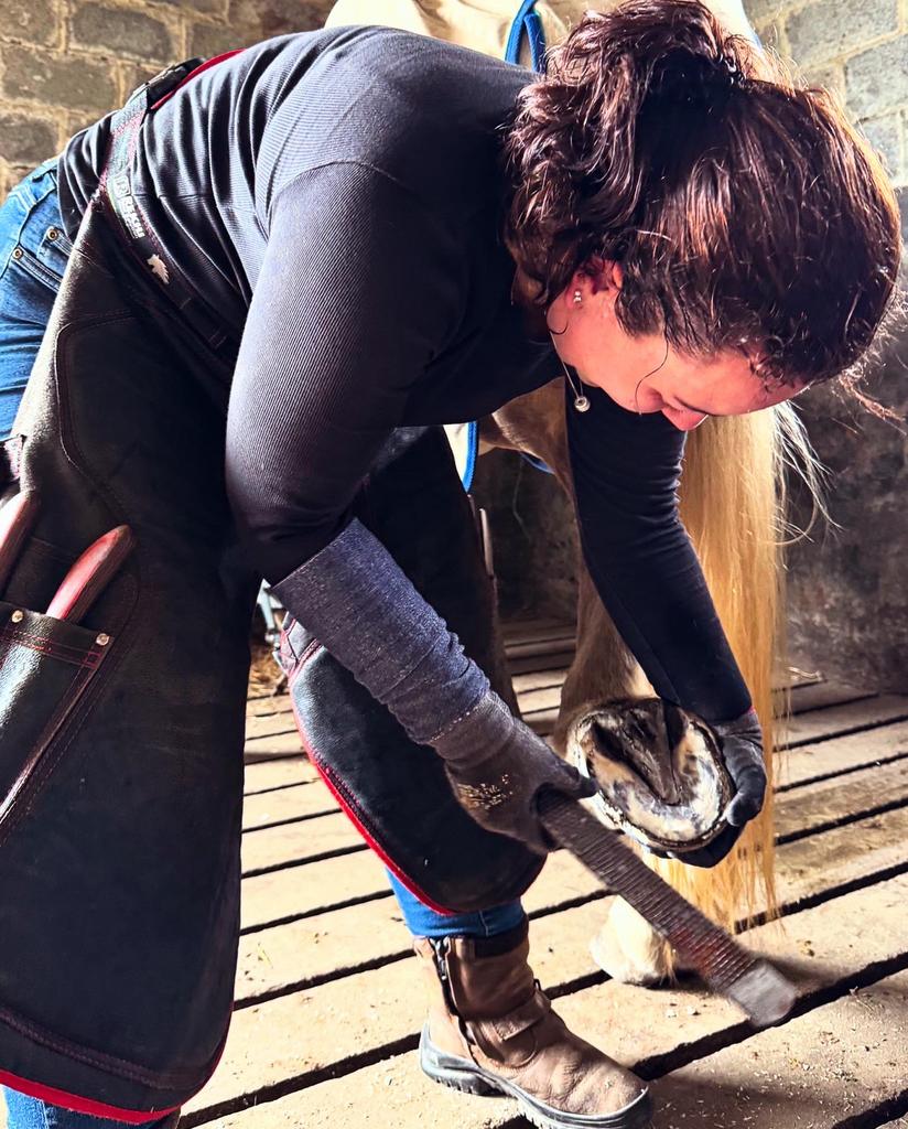 Hoefsmid/bekapper aangeboden (Zuid-Holland, Utrecht &Arnhem)