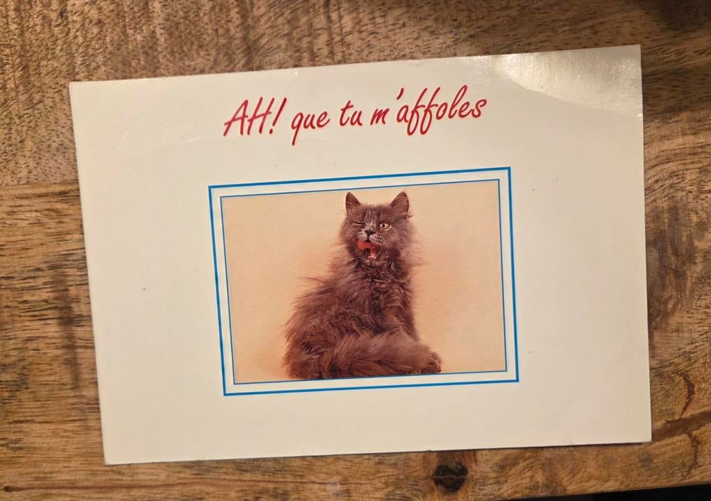 Grijs poesje, Verzenden, 1980 tot heden, Ongelopen, Hond of Kat