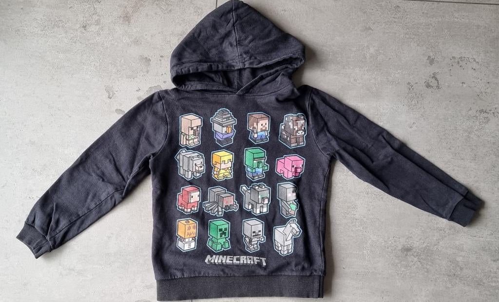 Hoody sweater van Mojang maat 5 - 6 jaar met minecraft print, Gebruikt, Mojang, Trui of Vest, Ophalen of Verzenden