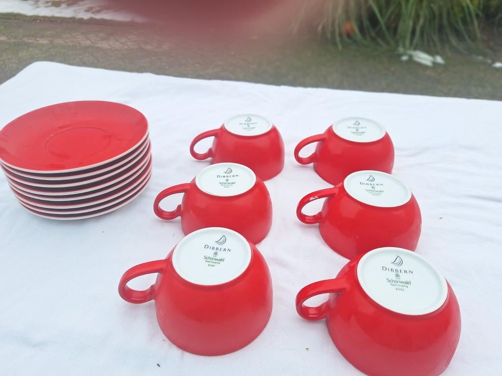 Dibbern rode kop en schotels, Ophalen of Verzenden