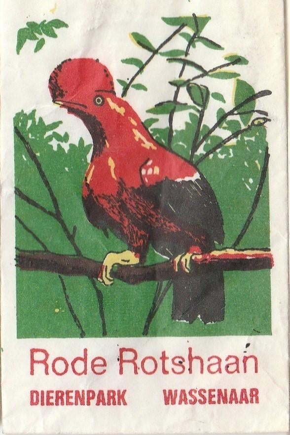 Dierenpark zoo Wassenaar - rode Rotshaan, Verzamelen, Ophalen of Verzenden