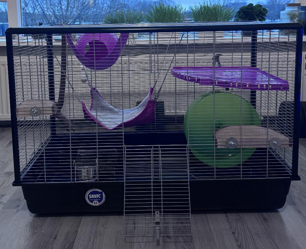 Complete Rat Cage Setup with Accessories, Ophalen, Kooi, 60 tot 90 cm, Zo goed als nieuw