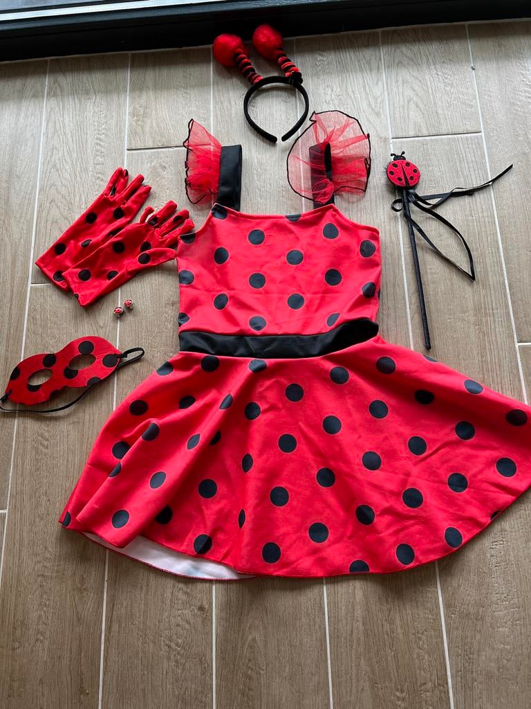 Carnavalpakje lieveheersbeestje, Ophalen, Zo goed als nieuw, 122 t/m 128, Meisje