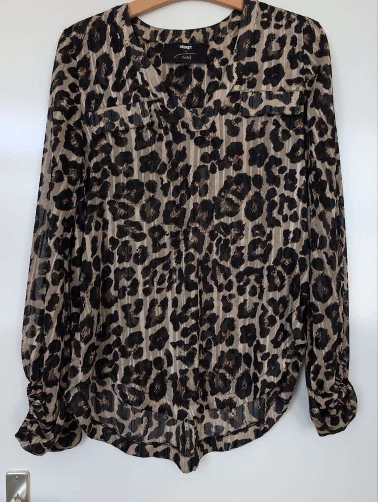Prachtige blouse van Fred van Leer, Ophalen of Verzenden, Zo goed als nieuw
