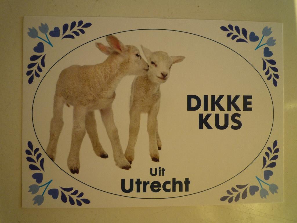 Dikke kus uit Utrecht met lam lammetjes schaap, Ophalen of Verzenden, Voor 1920, Utrecht