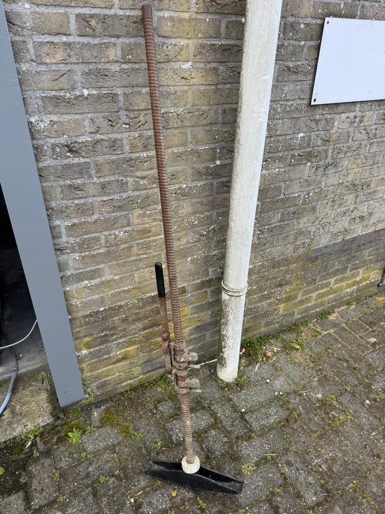 Vee verloskrik met ervaring, Mannelijk, Schaap