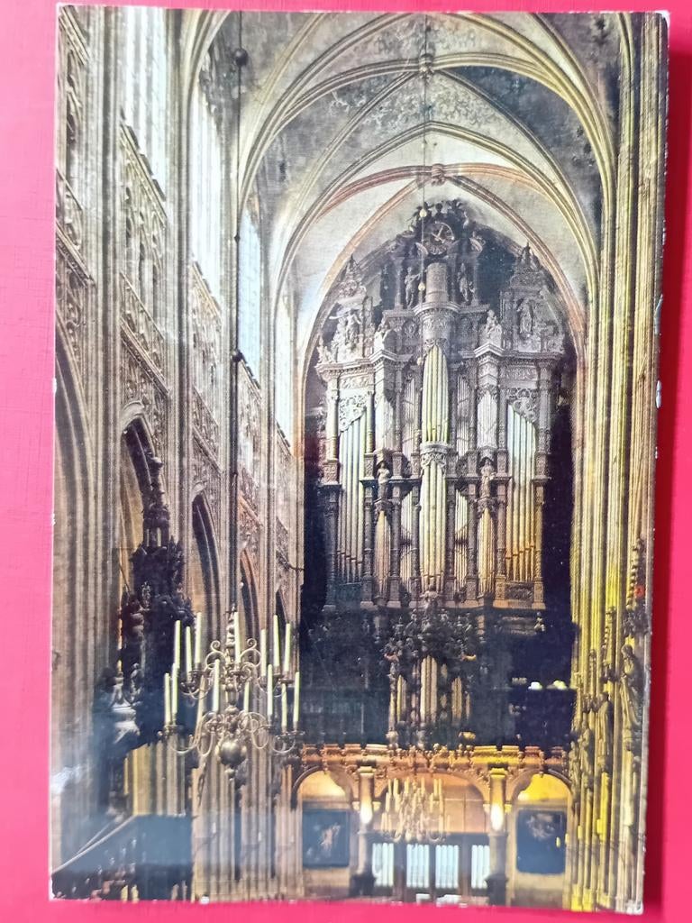 Ansichtkaart 's Hertogenbosch, Ophalen of Verzenden, Noord-Brabant