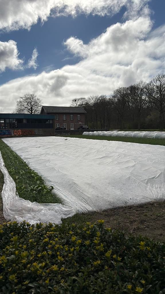 Vliesdoek lutrasil, Tuin en Terras, Planten | Bomen, Ophalen of Verzenden, Volle zon, Overige soorten