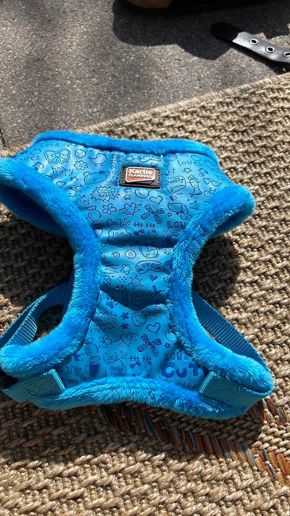 Zacht harnasje, Ophalen of Verzenden, Nieuw