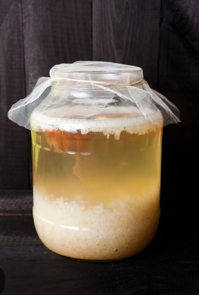 Biologische waterkefir, Ophalen of Verzenden