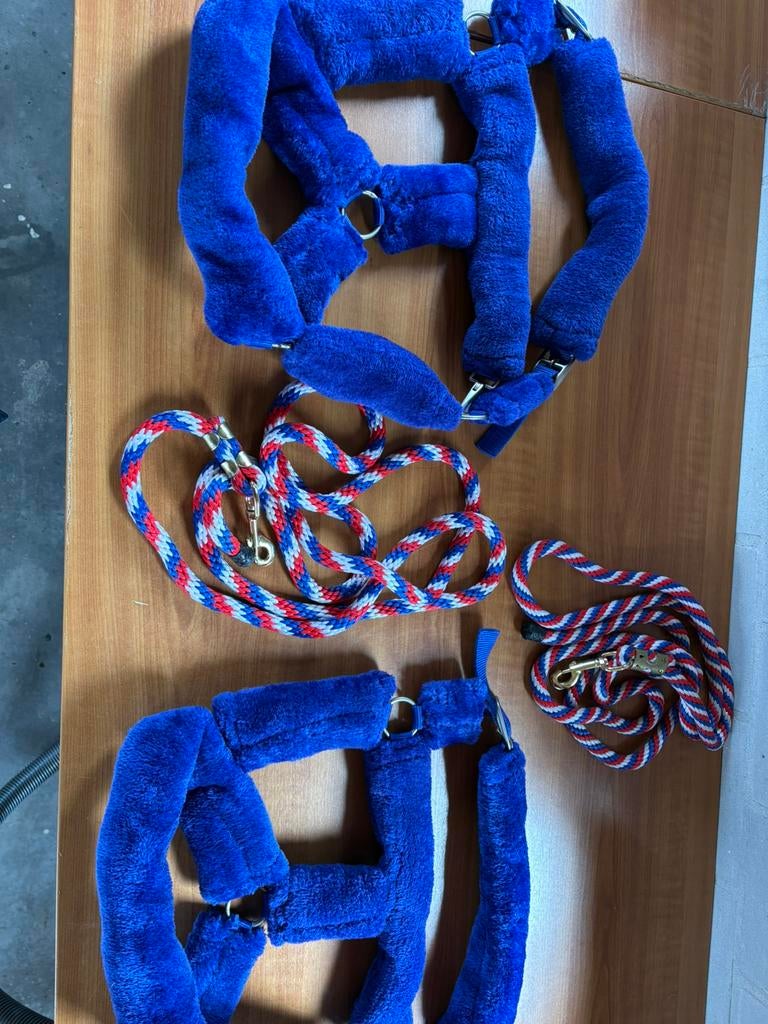 Bont halsters maat Full, Dieren en Toebehoren, Ophalen of Verzenden, Nieuw, Overige soorten