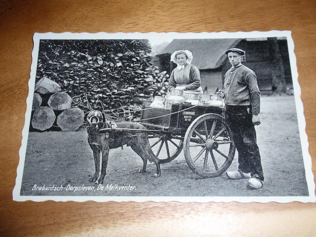 Boxtel Melkventer J Schoenmakers Hondenkar Folklore Melkbus, Verzenden, 1920 tot 1940, Gelopen, Noord-Brabant
