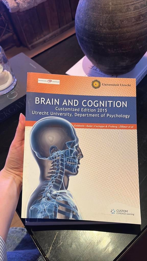 Brain and cognition 2015, Ophalen of Verzenden, Beta, Zo goed als nieuw, HBO