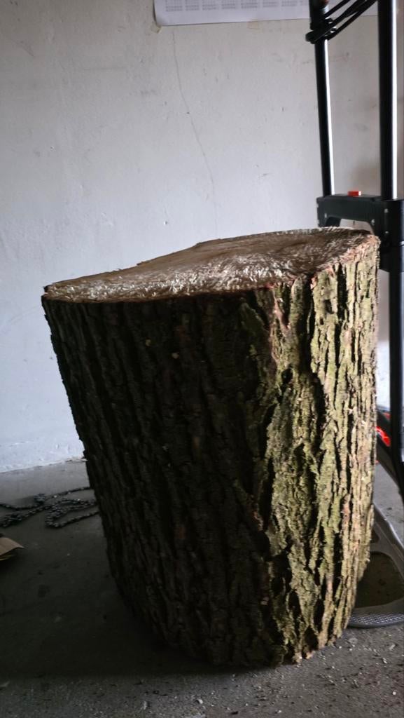 Mooie houten stam, Ophalen of Verzenden