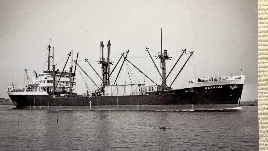 HERSILIA  - KNSM  CIMAVI type WW 2, Verzamelen, Scheepvaart, Ophalen of Verzenden, Zo goed als nieuw, Kaart, Foto of Prent