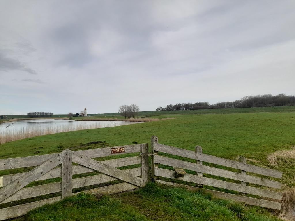 Weide gang paarden pony's, Dieren en Toebehoren, Stalling en Weidegang, Weidegang