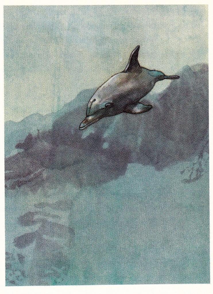 Bambaren, Sergio - De dromende dolfijn (2004), Ophalen of Verzenden, Nieuw