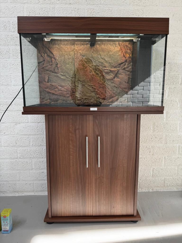 Aquarium met meubel - Juwel Rio 125, Dieren en Toebehoren, Vissen | Aquaria en Toebehoren, Ophalen, Gebruikt, Inclusief deksel