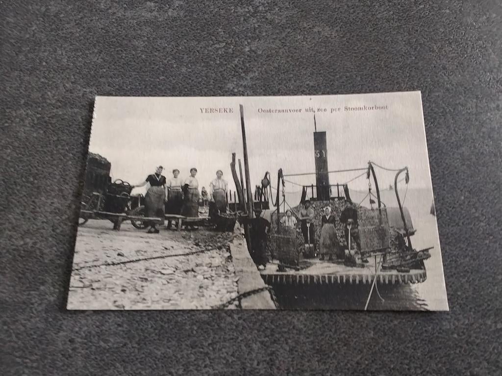 Yerseke  2 Visserij  Oesterteelt ca 1920, Ophalen of Verzenden, Voor 1920, Ongelopen, Zeeland