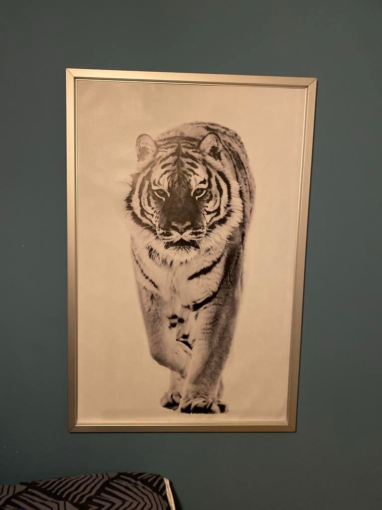 IKEA wanddecoratie tijger - zwart-wit, Huis en Inrichting, Woonaccessoires | Wanddecoraties, Zo goed als nieuw, Ophalen