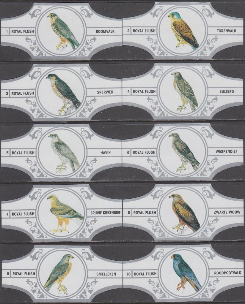 Sigarenbanden met Roofvogels, Royal Flush 1-10 wit-zilver, Ophalen of Verzenden, Nieuw, Sigarenbandjes