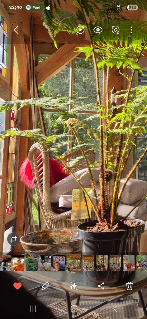 2 x Rieten Vlinderstoel met gratis bijzettafeltje, Bohemian, Landelijk, Gebruikt, Bruin, Riet of Rotan